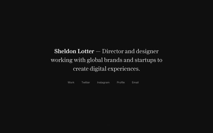 Sheldon Lotter — Direction + Design website preview