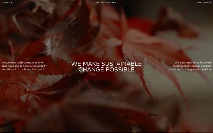 The Footprint Firm website preview