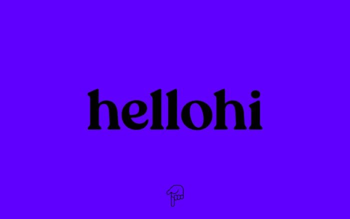Hellohi website preview