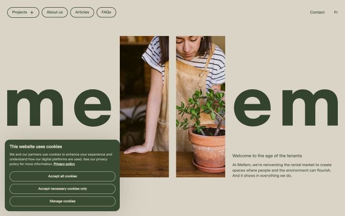 Mellem website preview