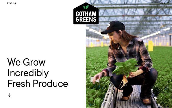 Gotham Greens website preview