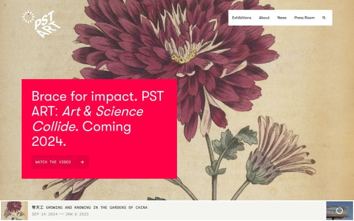 PST Art website preview