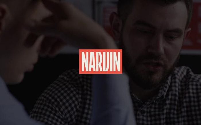 Narvin website preview
