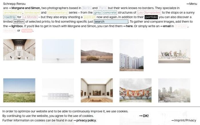 Schnepp-renou website preview
