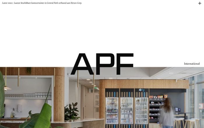 APF International website preview