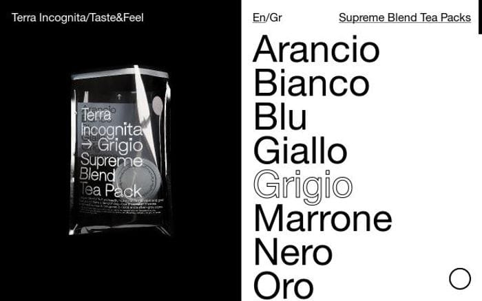 T-incognita website preview