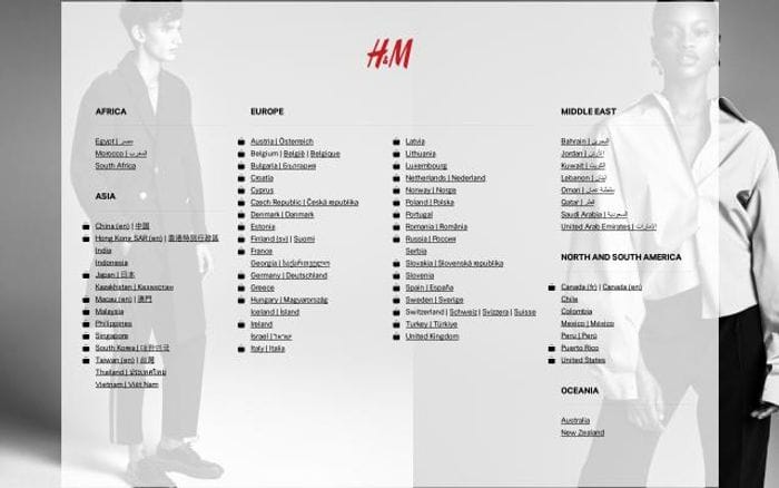 Hm website preview