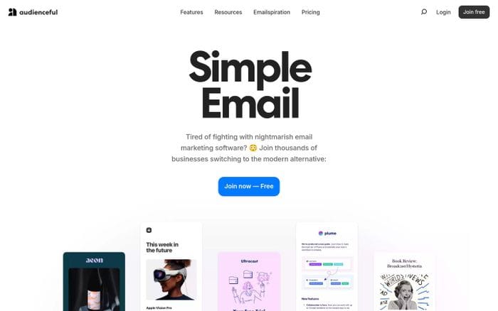 Audienceful website preview