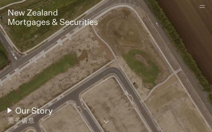 Nzms website preview