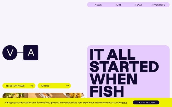 Viking Aqua website preview