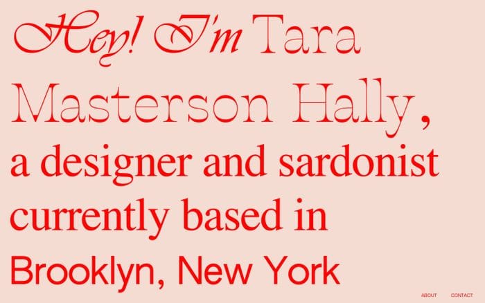 Tara Masterson Hally website preview