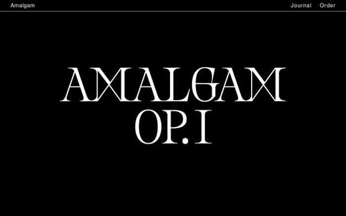 Amalgam website preview
