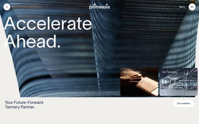 PrimeAsia website preview