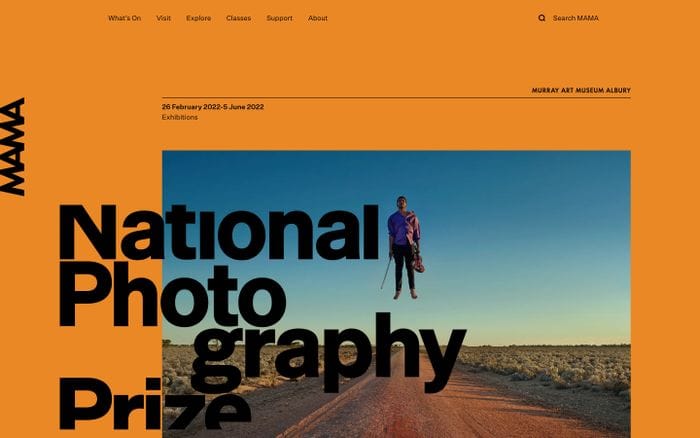 Murray Art Museum Albury website preview
