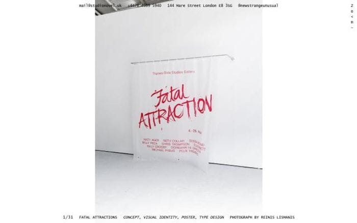 Studionovel website preview