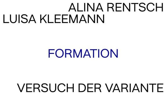 Rentschkleemann website preview