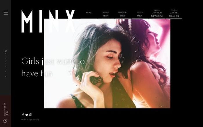 Minx-net website preview