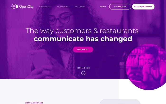 OpenCity website preview
