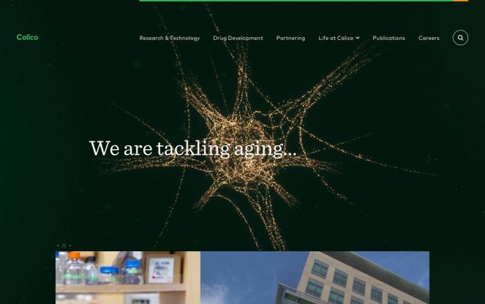 Calico website preview