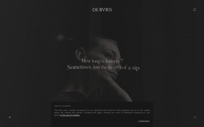Deburis website preview
