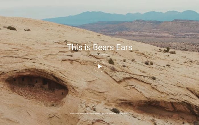 Patagonia website preview
