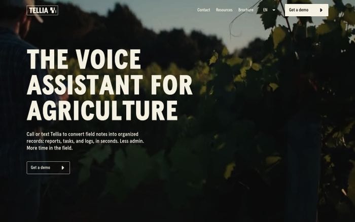 Tellia website preview