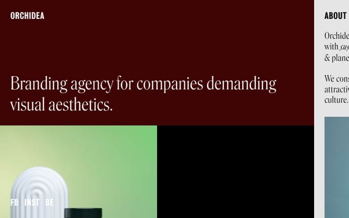 Orchidea Agency website preview
