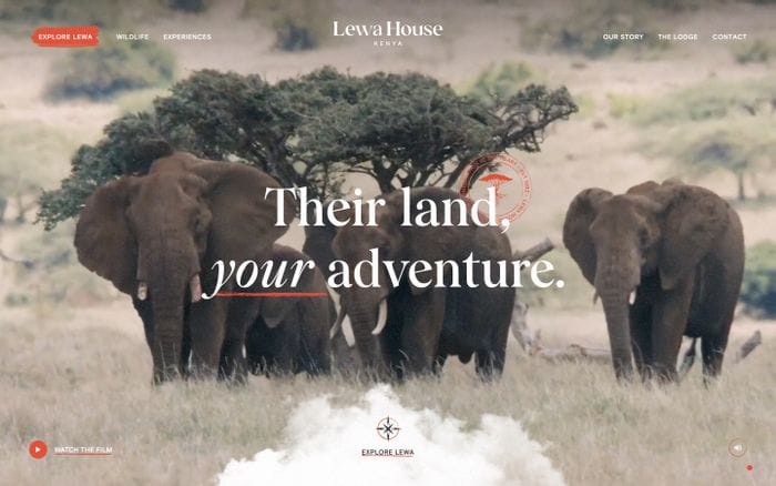 Lewa House website preview