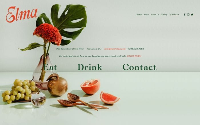 Elma website preview