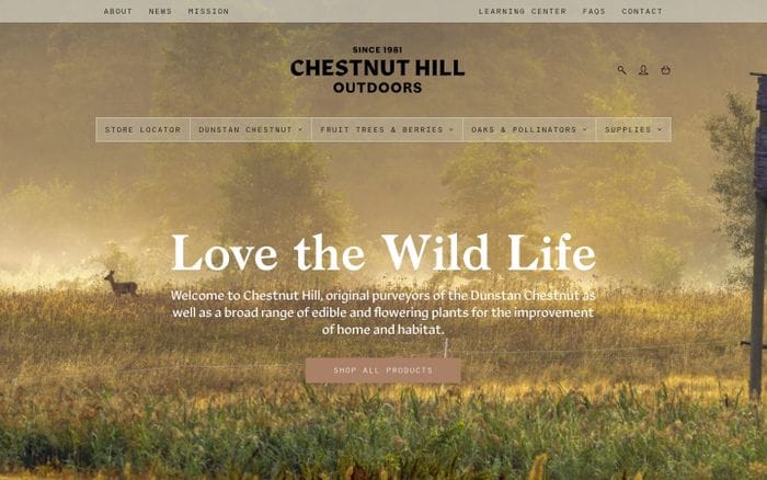 Chestnut Hill Outdoors – Since 1981 website preview