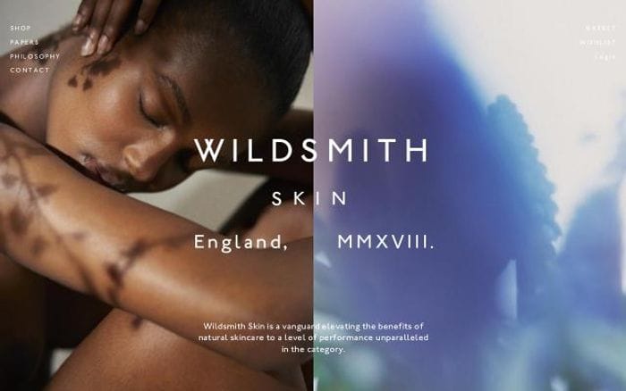 Wildsmithskin website preview