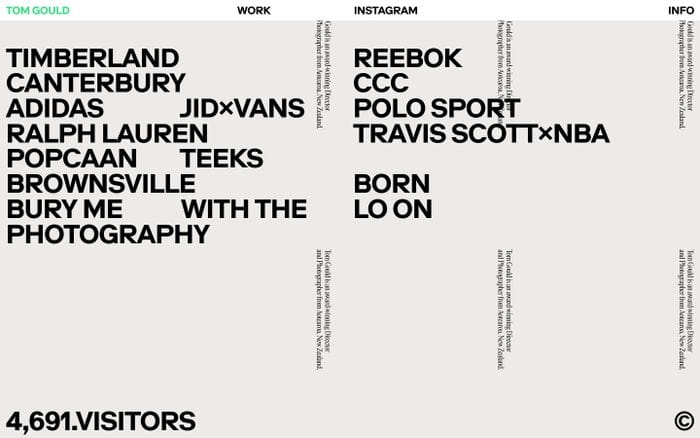 Tom Gould website preview