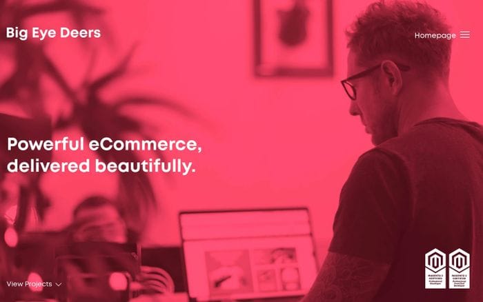 Website Design and Magento Developers | Cardiff | Big Eye Deers website preview