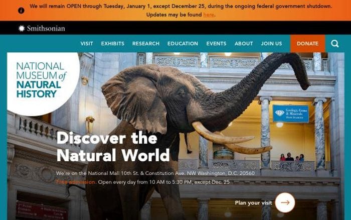 Naturalhistory website preview
