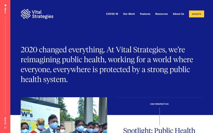 Vital Strategies website preview