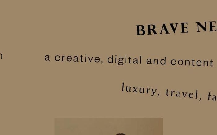 Bravenewworld website preview