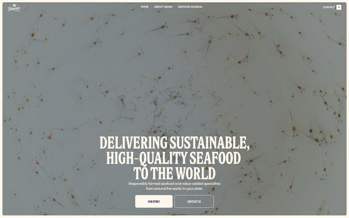 Haven Foods website preview