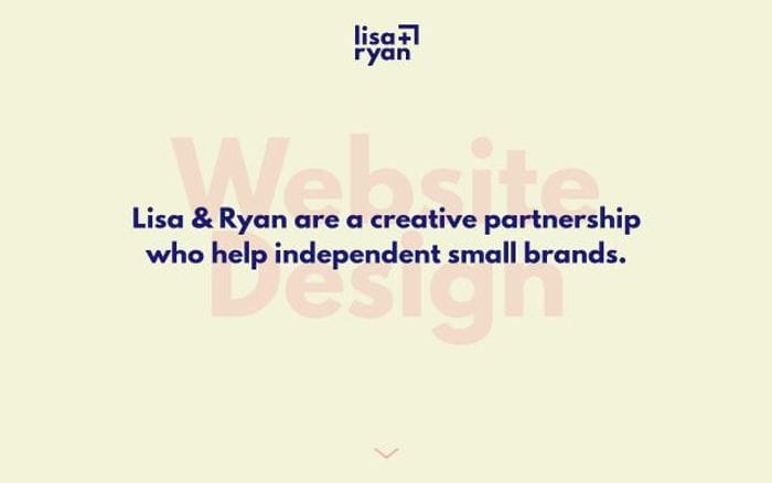 Lisaandryan website preview
