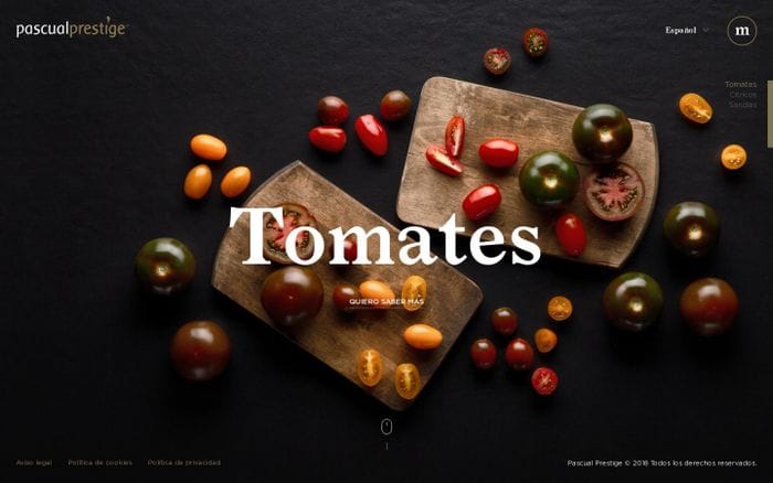 Pascual Prestige website preview