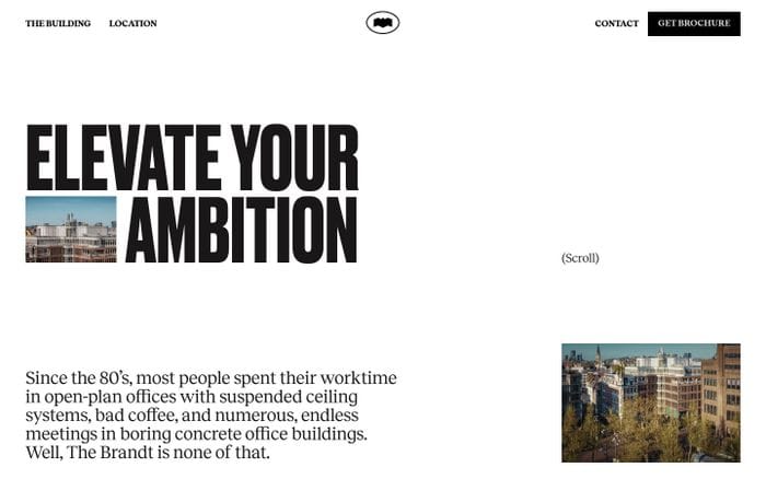 The Brandt website preview