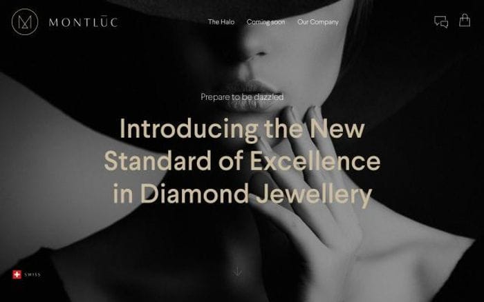 Montluc website preview