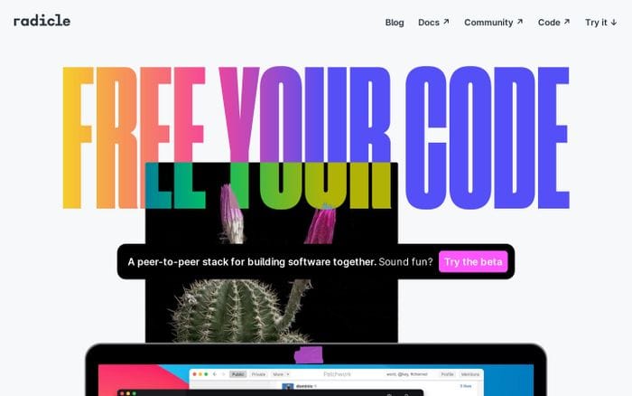 Radicle website preview