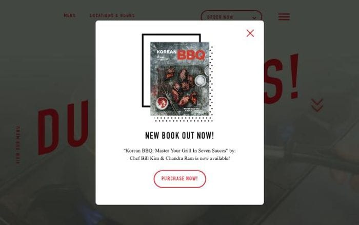 Urbanbellychicago website preview