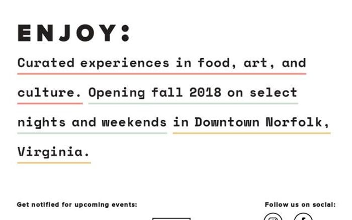 Enjoywith website preview