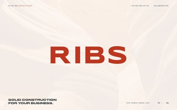 RIBS website preview
