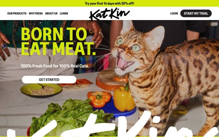 Katkin website preview