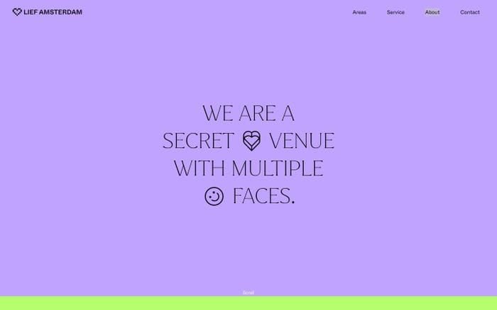 Lief Amsterdam website preview