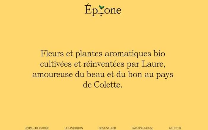 Epione-leslibaux website preview