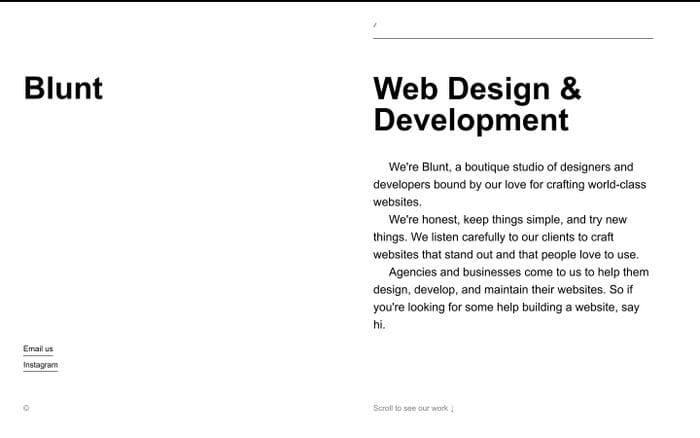 Blunt website preview