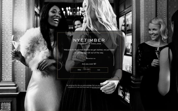  Nyetimber website preview